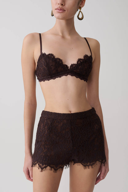 Gigi Lace Mini Shorts - Dark Chocolate