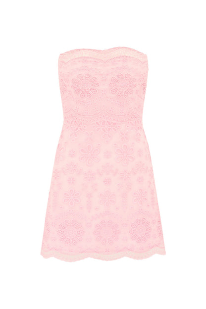 Vailia Organza Eyelet Mini Dress