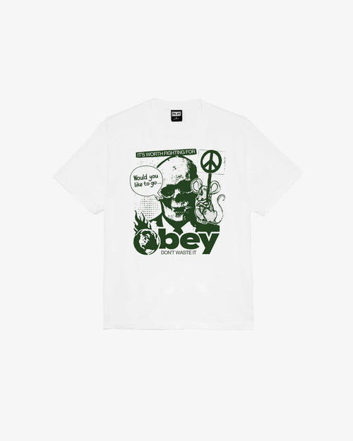 DONT WASTE IT HEAVYWEIGHT T-SHIRT - Four Street