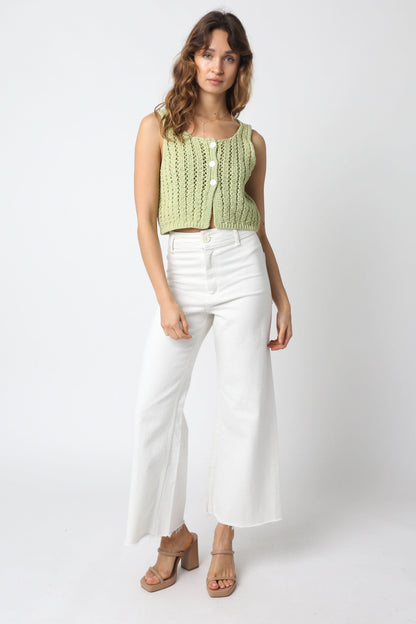 Valeria Sage Sheer Sweater Top
